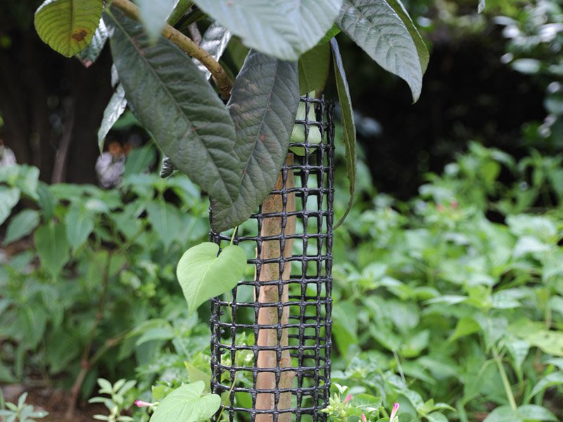 Pest Exclusion Net
