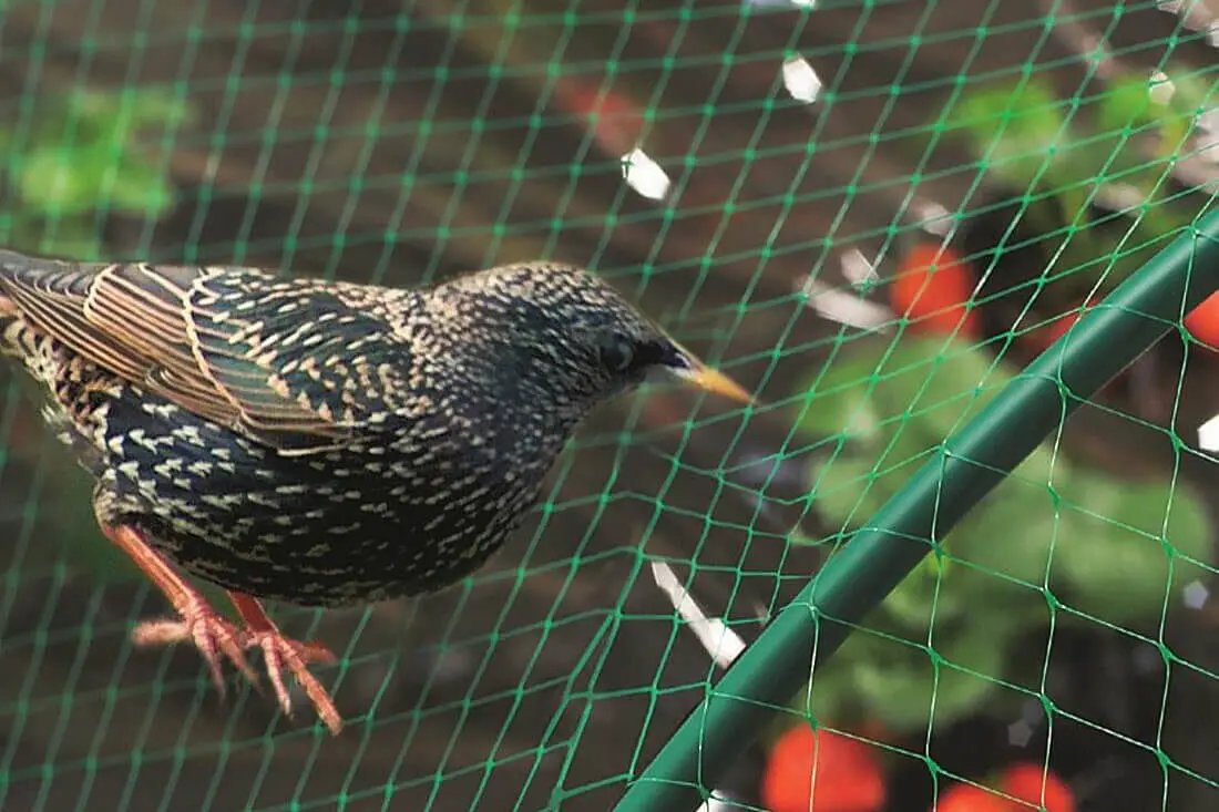 Pond / Bird / Agricultural Netting